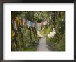 Path And Prayer Flags, Mcleod Ganj, Dharamsala, Himachal Pradesh State, India by Jochen Schlenker Limited Edition Pricing Art Print