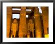 Temple Of Karnak Sound And Light Show, Egypt by Stuart Westmoreland Limited Edition Print