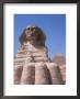 Sphinx, Giza, Unesco World Heritage Site, Near Cairo, Egypt, North Africa, Africa by Richard Ashworth Limited Edition Print