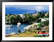 Town Yacht Marina, Castries, St. Lucia by Richard Cummins Limited Edition Print