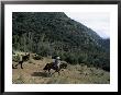 Man On Horse With Donkey And Hay, On The Outskirts Of Santiago, Chile by Aaron Mccoy Limited Edition Print