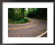 Curve In Road Of Highway 32, Great Smoky Mountains National Park, Tennessee by John Elk Iii Limited Edition Print