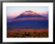 Mt. Ngauruhoe, Tongariro National Park, New Zealand by Michael Gebicki Limited Edition Pricing Art Print