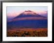 Mt. Ngauruhoe, Tongariro National Park, New Zealand by Michael Gebicki Limited Edition Print