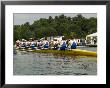 Rowing At The Henley Royal Regatta, Henley On Thames, England, United Kingdom by R H Productions Limited Edition Print