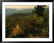 Scenic Overlook At Tanners Ridge With Blue Ridge Mountains Beyond by Raymond Gehman Limited Edition Print