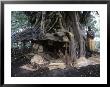 Woman And Children Of Kastom Village Selling Souvenirs Under Banyan Tree, Yakel, Vanuatu by Holger Leue Limited Edition Print