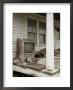 Ruined Old Television And Debris On Porch Of An Abandoned House by David Evans Limited Edition Print
