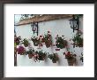 Geraniums Along White Wall Of Palacio De Mondragon, Ronda, Spain by John & Lisa Merrill Limited Edition Print