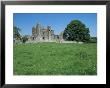 Bective Abbey, Cistercian, Dating From The 12Th Century, Trim, County Meath, Leinster, Ireland by Nedra Westwater Limited Edition Print