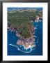 Coast South Of Hahei, Coromandel Peninsula by David Wall Limited Edition Pricing Art Print