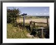 Stile On The Ridgeway Path, Pitstone Hill, Chilterns, Buckinghamshire, England by David Hughes Limited Edition Pricing Art Print