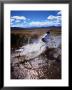 Mountain Biking Across A Creek Near St. Bathans, New Zealand by David Wall Limited Edition Print