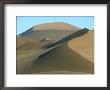 Desert Scene, Namibia, S.W. Africa by Gallo Images Limited Edition Print