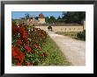 Vineyard And Roses, Chateau Grand Mayne, Saint Emilion, Bordeaux, France by Per Karlsson Limited Edition Print