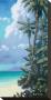 Treasure Island Ii by Rick Novak Limited Edition Print