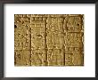 Mayan Carvings On Stela, Tikal, Guatemala, Central America by Upperhall Ltd Limited Edition Print