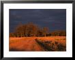 Outback Road, Wentworth, New South Wales, Australia by Jochen Schlenker Limited Edition Pricing Art Print