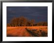 Outback Road, Wentworth, New South Wales, Australia by Jochen Schlenker Limited Edition Print