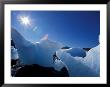 Icebergs From Columbia Glacier, Prince William Sound, Alaska, Usa by Hugh Rose Limited Edition Print