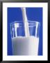 Pouring A Glass Of Milk by Ulrike Koeb Limited Edition Print