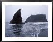 Ruby Beach And The Pacific Coast by Rich Reid Limited Edition Print