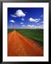 Red Road Of Scoria Near Fryburg, North Dakota, Usa by Chuck Haney Limited Edition Print