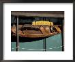 Wooden Boat Hanging At The Center For Wooden Boats, Seattle, Washington, Usa by William Sutton Limited Edition Print