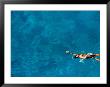 Overhead Of Boy Swimming In Pool At Water Polo Training, Bangkok, Thailand by Alain Evrard Limited Edition Print