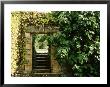 Arch Way In Ornamental Stone Wall With Fig & Vitis by Mark Bolton Limited Edition Pricing Art Print
