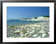 View East From Birling Gap Of Seven Sisters Chalk Cliffs, Sussex, Uk by Ian West Limited Edition Pricing Art Print