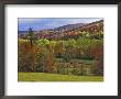 Autumn Tree Colors And Lone Horse In The Green Mountains, Vermont, Usa by Dennis Flaherty Limited Edition Pricing Art Print