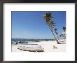 South Coast, Saona Island, Dominican Republic, West Indies, Central America by Guy Thouvenin Limited Edition Print