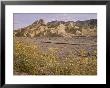 Zabriskie Point, Death Valley National Monument, California, Usa by Roy Rainford Limited Edition Print