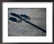 Lamp-Post Shadow Near Harbour Of Porta A Mare, Alghero, Sardinia, Italy by Martin Llado Limited Edition Print