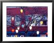 Christmas Tree Lights, Seattle, Washington, Usa by William Sutton Limited Edition Print
