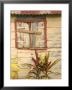 Weathered Cottage Of Marie-Galante Island, Guadaloupe, Caribbean by Walter Bibikow Limited Edition Print