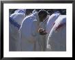 Christian Men At Prayer During Mass In The Church At Woolisso, Shoa Province, Ethiopia by Bruno Barbier Limited Edition Print