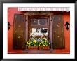 Window Flower Pots And Shutters, Alsace, France by Tom Haseltine Limited Edition Print