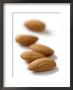 Almond (Prunus Dulcis), Nuts On A White Background by Susie Mccaffrey Limited Edition Pricing Art Print