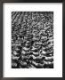 Coeds At The University Of New Hampshire Executing Front Fall Exercise On Gymnasium Floor by Alfred Eisenstaedt Limited Edition Print