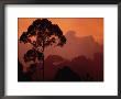 Sunset View by Darlyne A. Murawski Limited Edition Print