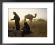 Bedouins Cooking On The Sand At Their Camp At Sahamah, Oman by James L. Stanfield Limited Edition Print