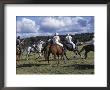 The Geeburg Polo Match, Bushmen Versus Melbourne Polo Club, Australia by Claire Leimbach Limited Edition Pricing Art Print