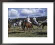 The Geeburg Polo Match, Bushmen Versus Melbourne Polo Club, Australia by Claire Leimbach Limited Edition Print