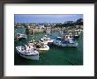Fishing Boats In Harbour, Newquay, Cornwall, England, United Kingdom by Neale Clarke Limited Edition Print