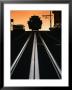 Tram Car On Washington St, San Francisco, Usa by John Elk Iii Limited Edition Pricing Art Print