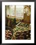 Shed With Storage For Fruit And Vegetables by Linda Burgess Limited Edition Print