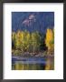Autumn Color On The Methow River, Washington, Usa by William Sutton Limited Edition Pricing Art Print