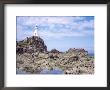 Lighthouse From The Causeway At Low Tide, Corbiere, St. Brelade, Jersey, Channel Islands by David Hunter Limited Edition Print